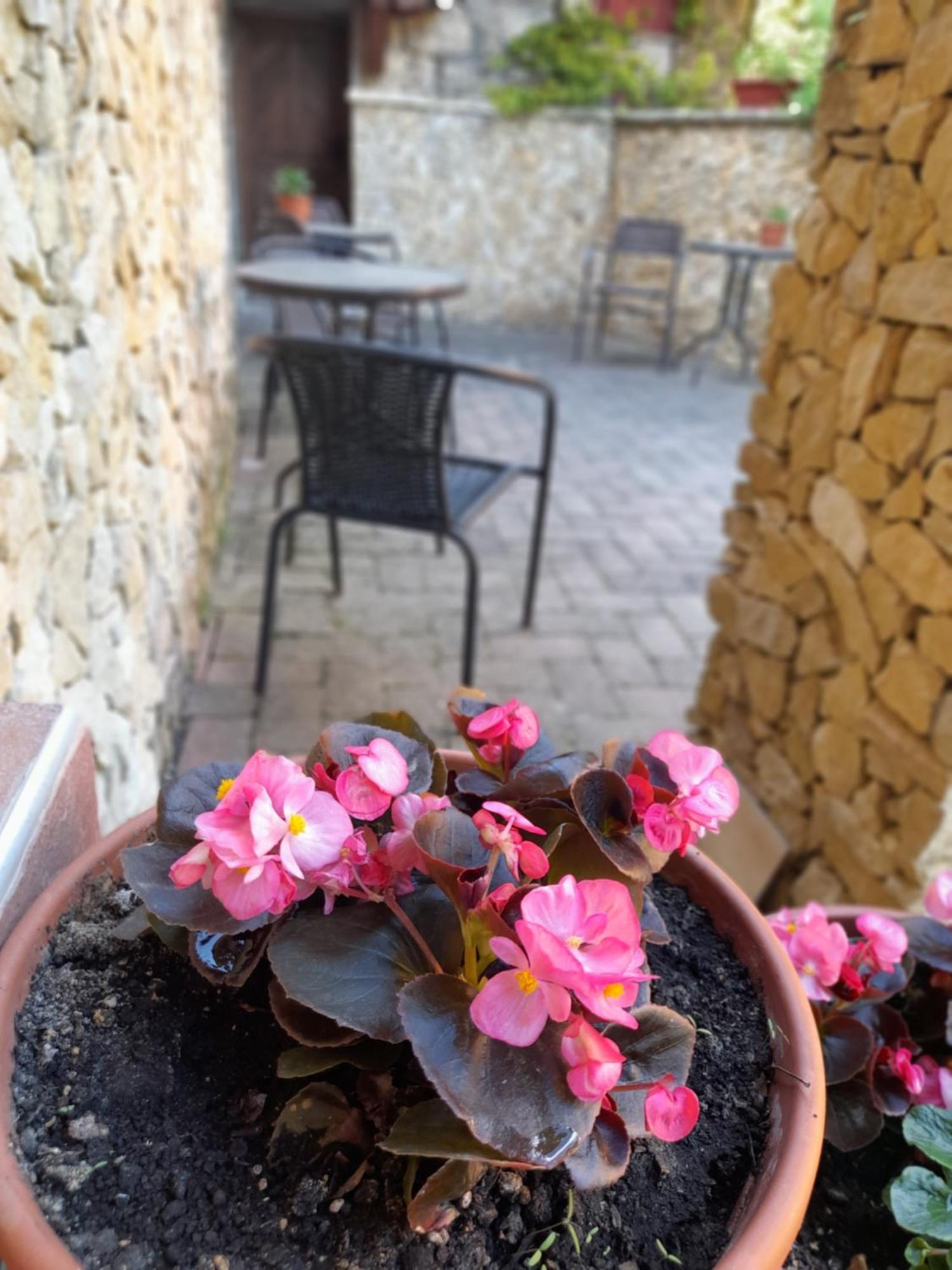 Harmonia Wellness Villa Szilvásvárad Exterior foto
